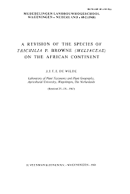 Image result for Trichilia quadrivalvis