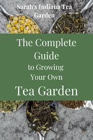 Plants Design How To Grow The Complete Guide To Starting Your Own Tea Garden In 2020 Herbal Tea Garden Medicinal Herbs Garden Tea Garden