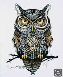  64 Ide Burung Hantu Burung Hantu Burung Hantu