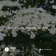 Teruntukmu Yang Menerimaku Apa Adanya Terimakasih Anginku Kau Telah Memilihku Dan Mempersilahkan Kehadiranku Diantara Banyakn Cinta Allah Tahu Menjadi Ibu