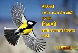 Marathi Friendship Quotes Marathi Quotes Image Quotes