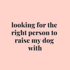  40 Shareworthy Dog Mom Quotes You Ll Love Dog Mom Quotes Dog Quotes Funny Dog Lover Quotes