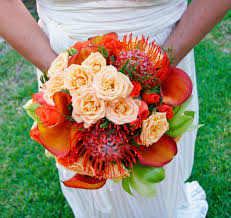 Maybe you would like to learn more about one of these? Green Cymbidium Orchids Peach And Bright Orange Spray Roses Orange Pin Cusion Protea And Rust Orange Calla Lilie Cymbidium Orchids Spray Roses Tropical Flowers
