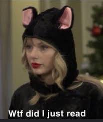 Reckless driving by Temecula police officers