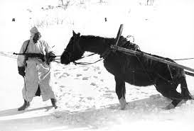 Horses In World War Ii Wikipedia