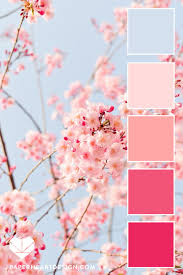 They are also known as japanese cherry and sakura. Color Palette Spring Cherry Blossoms Paper Heart Design