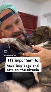 Since February 2022, Eric has been volunteering at every single Spay &  Neuter Campaign held by SOS el Arca Animal Rescue. That’s 30 campaigns in  just 3 years!, At each campaign, with 400 surgeries, ...