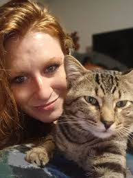 Lost cat Felix in Burien/Tukwila area, intact male tabby