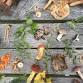 Foraging & Wild Food