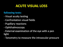 Image result for Acute Vision Loss