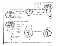 Maybe you would like to learn more about one of these? Es Da L Cy Ca Sharanya K P