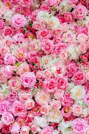 Pin By Olga Frints On My Board Flower Background Iphone Flower Phone Wallpaper Rose Flower Wallpaper