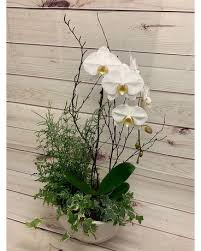 This plant hanger will fit a variety of flower pot shapes and sizes. Plants Delivery Federal Way Wa Buds Blooms At Federal Way
