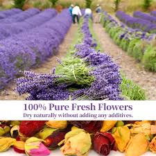Maybe you would like to learn more about one of these? Buy Dried Flowers 245 G Natural Dried Flower Herbs Kit For Bath Soap Making Candle Making Includ 16 Flower Type Pink Rose Lily Rose Petal Lavender Jasmine Flower Ect 16 Bags