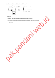 Find similar websites like pak.pandani.web.id. Soal Usbn Tahun Pelajaran 2017 2018 Blog Pak Pandani