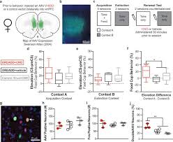 Description:abc pest control maintains its corporate office at 2024 nw 92nd ct. Ventromedial Prefrontal Cortex Mediates Sex Differences In Persistent Cognitive Drive For Food Scientific Reports