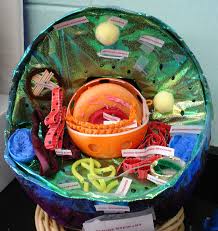 Every Year In Biology My Students Make Models Of The Cell The Model Has To Be Made Out Of Paper Mache And Ca Projets Scientifiques Projets Scolaires Biologie