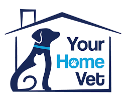 Your Home Vet House Call Veterinarian In Jacksonville Florida