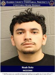 Constables Arrest Driver Who Fled Scene Of A Crash