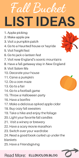 25 Best Fall Activities To Do In Massachusetts Fall Bucket List Fall Bucket List Autumn Activities Fall Fun