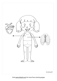 Human body coloring pages for preschoolers. Page 22 For Human Body Coloring Pages Coloring Pages Kidadl
