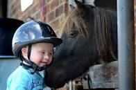 Image result for News Clip Clare Balding Help Save Park Lane Stables London