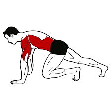 Mountain climbers exercise benefits are plentiful: 80 20 Fit Mountain Climber Ubung Fur Den Bauch Richtig Ausfuhren