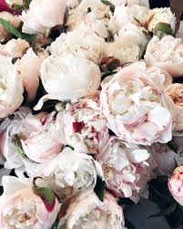 Order delivery from pikes place flowers on 1501 1st ave, seattle, wa. Pinterest Carriefiter 90s Fashion Street Wear Street Style Photography Style Hipster Vintage Design Landscape Flowers Pike Place Landscape Illustration