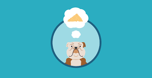 But should you be concerned and is there anything you now need to do in response? Can Dogs Eat Cous Cous Dogbuddy Blog