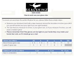 Sealskinz Waterproof Extreme Cold Weather Reflective Gauntlets