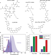 Is it the most accurate method? Simplified Detection Of Polyhistidine Tagged Proteins In Gels And Membranes Using A Uv Excitable Dye And A Multiple Chelator Head Pair Journal Of Biological Chemistry