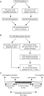 Ahmed zaki yamani (born 1930), former saudi arabian oil minister. Incidence And Duration Of Hepatitis E Virus Infection In Dutch Blood Donors Hogema 2016 Transfusion Wiley Online Library