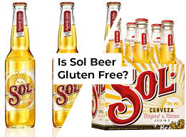 Is Sol Gluten Free Glutenbee Gluten Free Beer Kingfisher Beer Gluten Free