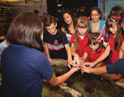 aquariuM of the PaCifiC