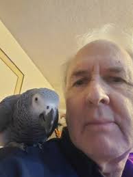 I've had 22 year old Sheeba for nearly 14 years, adopted her from a  previous owner who said she was difficult. She does bite most people but  she is a truly bonded