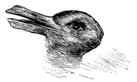 Animals could help reveal why humans fall for optical illusions | Laura and Jennifer Kelley | Science | theguardian.com