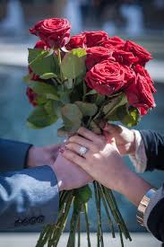 Maybe you would like to learn more about one of these? A Romantic Acrobatic Marriage Proposal The One Romance Modern Flower Beautiful Rose Flowers Flower Images