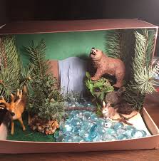 Biome In A Box Diorama Forrest Biome Deciduous Forrest Diorama Kids Habitats Projects Ecosystems Diorama