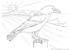 We are giving here different types of crown coloring pages. Crow Looking Coloring Page For Kids Free Crow Printable Coloring Pages Online For Kids Coloringpages101 Com Coloring Pages For Kids