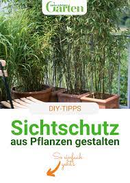 Weitere ideen zu sichtschutz pflanzen, garten, pflanzen. Sichtschutz Mit Pflanzen Die Moglichkeiten Im Uberblick Pflanzen Sichtschutz Pflanzen Garten