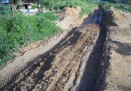 Image result for Pseudoeriosema andongense