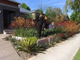 Image Result For West Australian Native Garden Ideas Australian Native Plants Australian Garden Design Native Garden