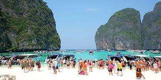 Apa yang menarik di hutan ini adalah kekayaan flora dan faunanya yang unik. Mabuk Vitamin Sea Di Krabi Halaman All Kompas Com