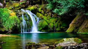Choose from hundreds of free nature wallpapers. Nature Hd Wallpaper Wallpapers
