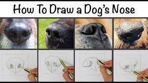 I go through step by step explaining layering, blending and detailing.🖍 rea. How To Draw A Dog S Nose Youtube