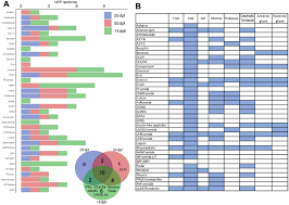 Buka lowongan di pt indopasifik medika investama (0). Development And Interrogation Of A Transcriptomic Resource For The Giant Triton Snail Charonia Tritonis Springerlink