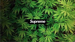 Desktop, android, iphone, ipad 1920x1080, . Supreme Laptop Wallpaper Posted By Sarah Walker