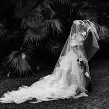 Especially for a plant that cannot simply run away to escape harmful environments. Edward Stratmann Edwardstratmann Twitter