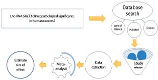 As with other symbols, context is key. Clinicopathological Significance Of Long Non Coding Rna I Ghet1 I In Human Cancers A Meta Analysis Bentham Science