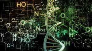 Find science articles and current events from popular science. Young Scientists Forum Economique Mondial